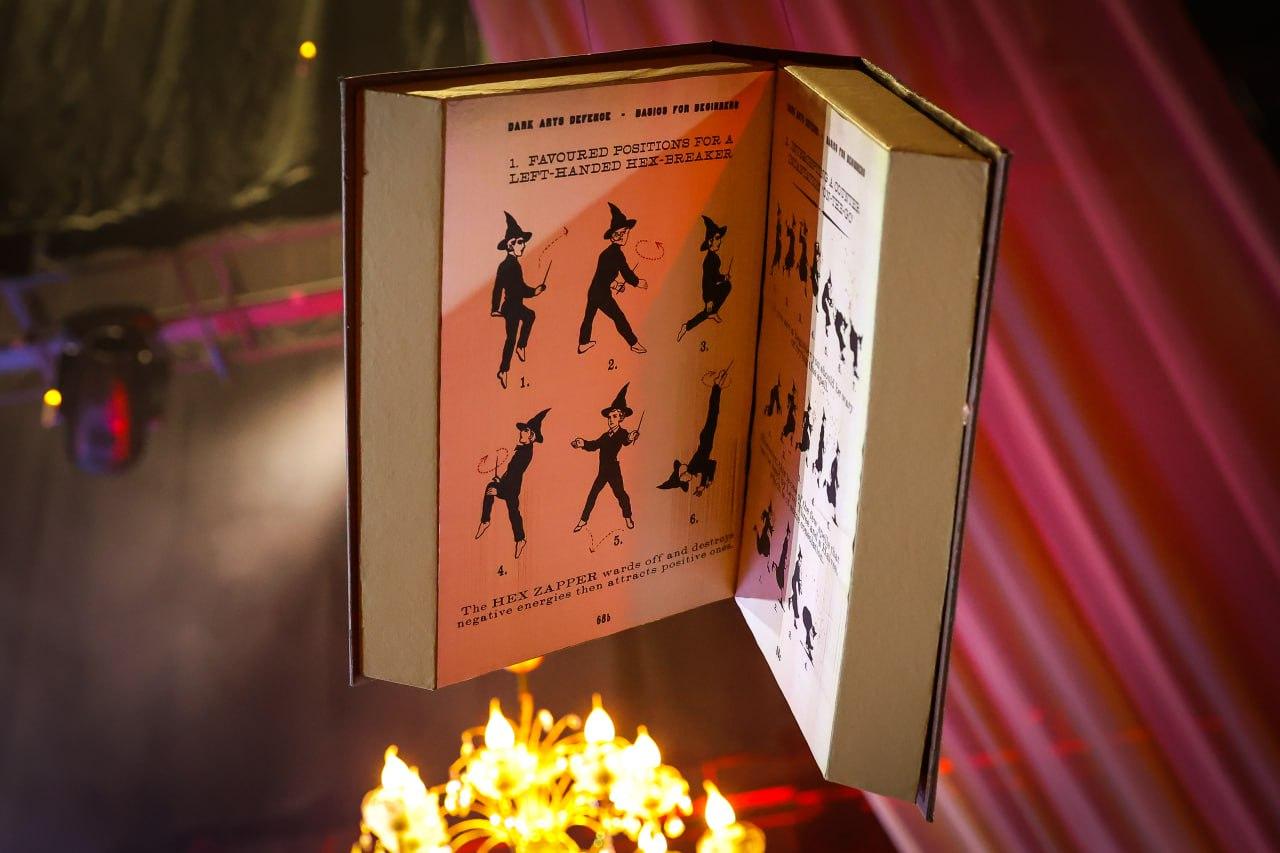 Фото «Новый год в Хогвартсе»: музыкальное приключение по вселенной Гарри Поттера 3